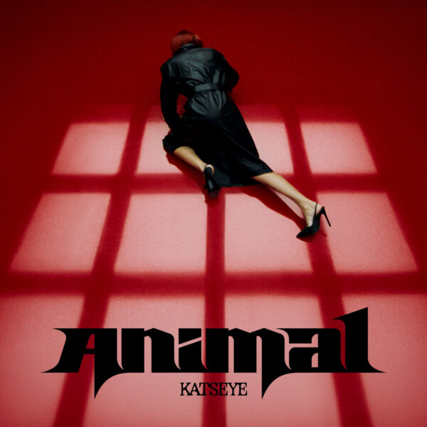 Album art KATSEYE - Animal