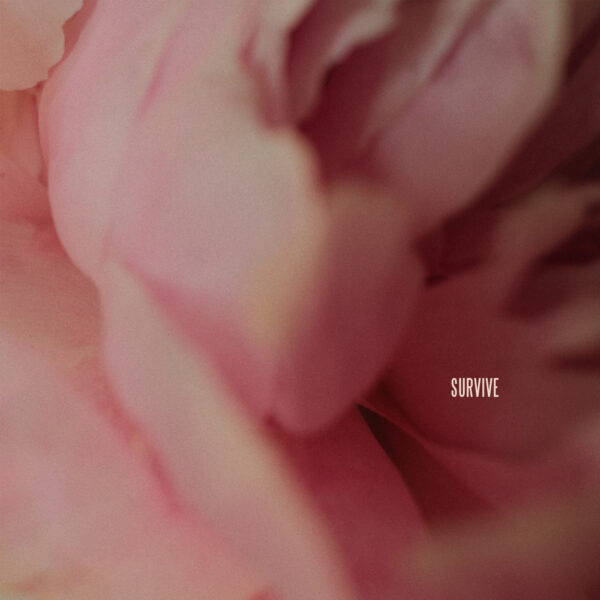 Album art Lewis Capaldi - Survive