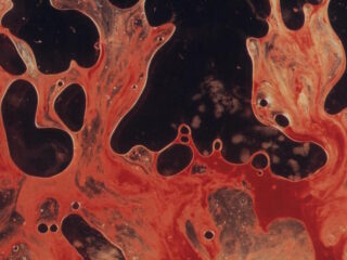 Muzikanten en hun fascinatie met lichaamssappen...