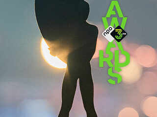 Deze muzikanten vallen in categorie 'Beste Artiest' van de 3FM Awards