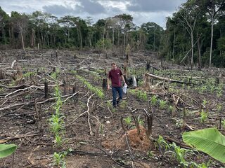 3FM-dj Wijnand geconfronteerd met de ontbossing in de Amazone: "Dit is wel heel triest hoor"