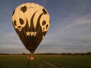 Wat koop jij bij de 3FM Serious Request veiling?