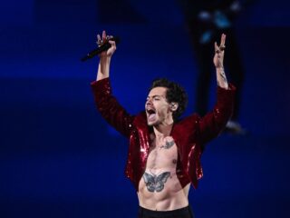 Wat kan je verwachten van het concert van Harry Styles?