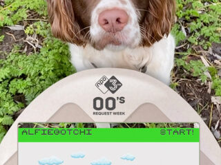 Alfiegotchi spelen én kans maken op een Tamagotchi?