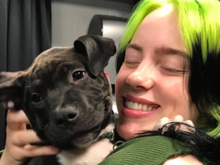 Dierendag: deze artiesten kunnen niet zonder hun trouwe viervoeter