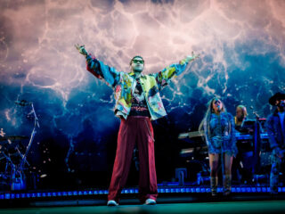 Waarom hebben zoveel artiesten de ziekte van Lyme?