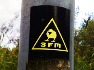 30 jaar Megahit: hoe is de 3FM Megahit ontstaan?