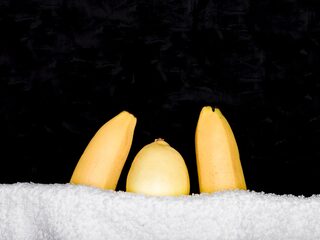 Monogaam of open? Onderzoek: wat voor relatie heb jij?
