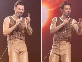Harry Styles onderbreekt show voor zwangere vrouw die moet plassen