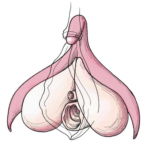 Eri oyoqlarini yalab oqidi Chitadagi individual fohishalar