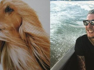 Ze zeggen dat huisdieren toch altijd zo op hun baasje lijken?