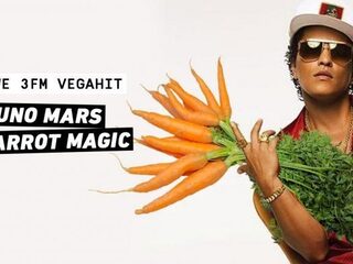 Dit zijn de grappigste VEGAhits!