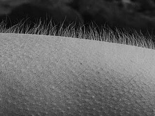 Kippenvel door muziek? Dan ben je emotioneler!