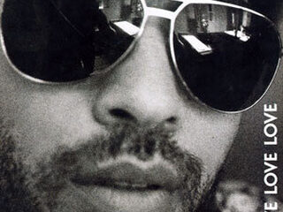 Stenders' Canon: Lenny Kravitz