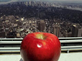 Met Michiel naar de USA: New York