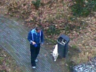 Who let the dog out?