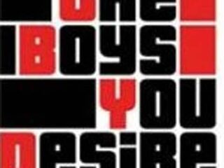 Sander en The Boys You Desire