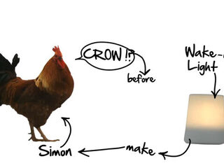 Lamp vs. Zon, wie wint?