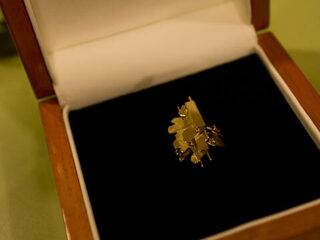 Gouden RadioRing 2010: En de genomineerden zijn...