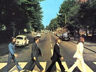 Hond luistert alleen naar The Beatles