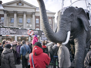 De zaterdag in vogelvlucht