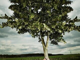 Beans & Fatback doen Bill Withers met Rudy