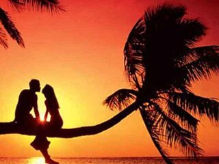 Timur Timur Show: Flirt- Je- Stijf