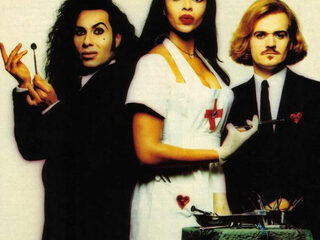 Zweedse Koning beminde Army of Lovers zangeres