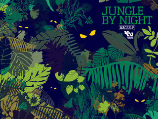 Jungle By Night is het daglicht wel waard!