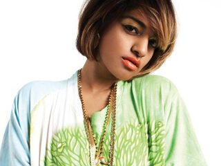 Middelvinger kan M.I.A. 12 miljoen euro kosten