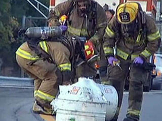 Nooit Grappig: Verkeerschaos door stierensperma