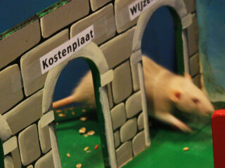 De Request Rat van Frank en Timur