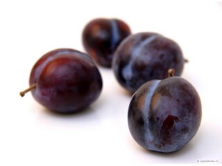 Louwe Pruim is Schaamnaam 2011