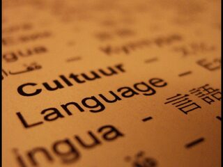 Mega Top 50 zoekt een talenknobbel