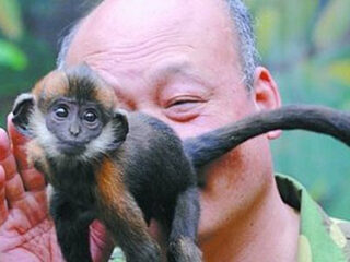 Nooit Grappig: een verhaal met een staartje