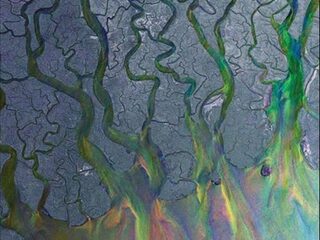 An Awesome Wave van Alt-J Album van de Week