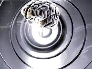 'Dog Blood' samenwerking tussen Skrillex en Boys Noize?