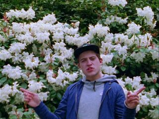 In vogelvlucht door de Mega Top 50