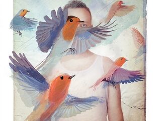 Gratis single 'Tarot, Tequila' van a balladeer