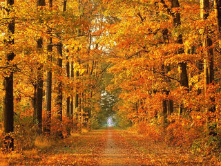 Herfst classics op 3FM