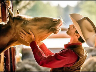 Nooit Grappig: hengstenbal in Virgin...ia