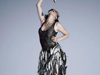 Krause live bij Herman