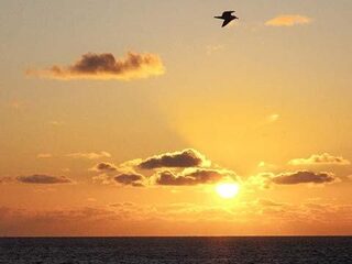 Terugblik op CAS 2010