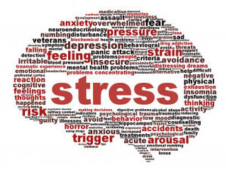 Tessa's Therapielijst