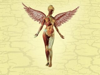 Complete liveshow bij heruitgave Nirvana's In Utero