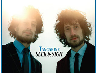 Tangarine is nieuwe DWDD huisband