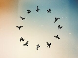 'Full Circle' van Half Moon Run is 3FM Megahit