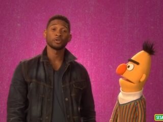 12 Sterren die shinen in Sesamstraat