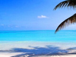 Voor 50 euro naar de Malediven, het kan!