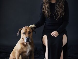 'Royals' van Lorde niet meer op de radio in San Francisco